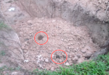 Khaosod Unearths Dog Mass Grave at Govt Site An image Monday shows parts of dog corpses sticking out in a pit near the Nakhon Phanom Quarantine Station.