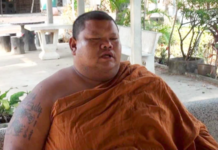 Please Don’t Feed Junk to Chunky Monks: HealthMin Image: Sailom Isara / YouTube