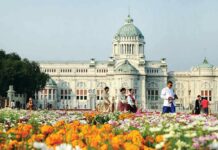 Watch the King’s Orchestra Play the Royal Plaza