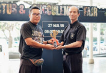 Stick Around For Cactus Fair This Weekend