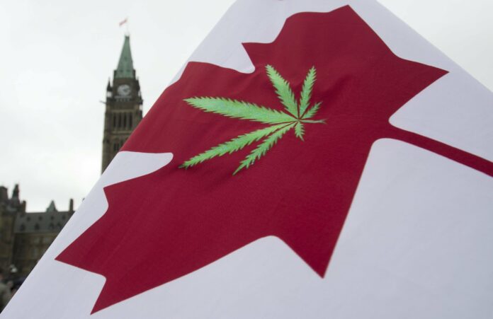 In this April 20, 2015 file photo, a Canadian flag with a cannabis leaf flies on Parliament Hill during a 4/20 protest in Ottawa, Ontario. Photo: Adrian Wyld / The Canadian Press via AP