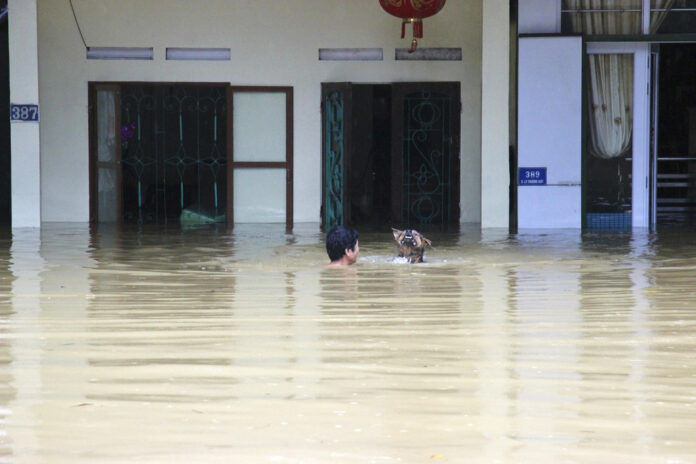A man swims with his dog in the floodwaters in northern province of Ha Giang, Vietnam on Sunday June 24. Photo: Minh Tam/Vietnam News Agency/ Associated Press