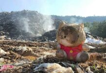 300 Million Tons a Year: Can the Plastic Crisis Be Solved?