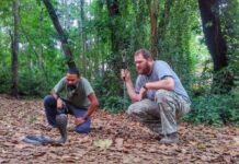Farangs Flock to Study Thai Cobras Photo: Matichon