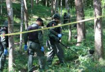Landmine Wounds Deep South Farmer