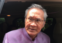 FM Says Thailand Doesn’t Need Foreign Election Observers An undated photo of Foreign Minister Don Pramudwinai. Photo: Matichon