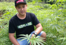 Medical Thai Weed Gets a Launch Date Cannabis advocate Rattapon 'Guide' Sanrak at a royal project sponsored by the palace in Chiang Mai's Mae Rim district, where industrial-grade hemp is grown for use in rope and textiles by hill tribe members. Photo: Rattapon Sanrak / Courtesy