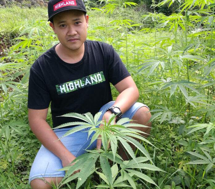 Cannabis advocate Rattapon 'Guide' Sanrak at a royal project sponsored by the palace in Chiang Mai's Mae Rim district, where industrial-grade hemp is grown for use in rope and textiles by hill tribe members. Photo: Rattapon Sanrak / Courtesy