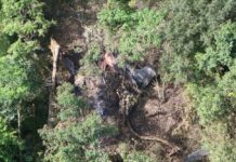 Survivor of Mae Hong Son Plane Crash Dies