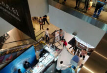 Woman Falls Six Floors to Death at Bangkok Mall