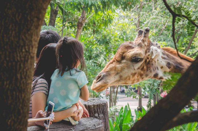 Photo: Dusit Zoo / Facebook