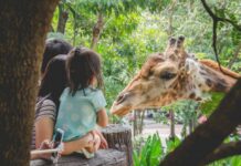 Dusit Zoo Closure Delayed to October