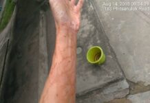 Watchdog Activist Doused With Fermented Fish