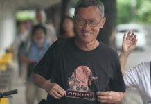 Lawyer Accused of Lese Majeste Now Free