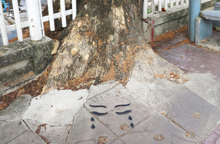 Artist Mourns Felled Rain Tree Through Graffiti