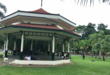Shocked Officials Learn Bangkok Parks Used For Sex Lumpini Park. Photo: Matichon