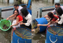 Aum Patcharapa Defends Releasing Fish for Merit