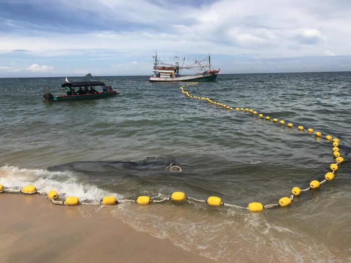 shark net