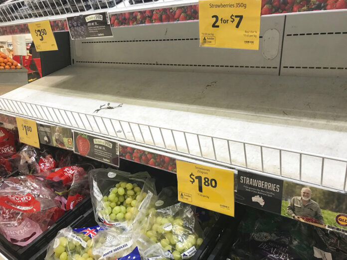 Empty shelves, normally stocked with strawberry punnets, are seen Friday at a Coles Supermarket in Brisbane, Australia. Photo: Dan Peled / Associated Press