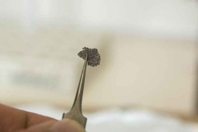 This undated photo provided by Ilya Bobrovskiy in September 2018 shows a fragment from a Dickinsonia fossil. Photo: Ilya Bobrovskiy / Associated Press This undated photo provided by Ilya Bobrovskiy in September 2018 shows a fragment from a Dickinsonia fossil. Photo: Ilya Bobrovskiy / Associated Press