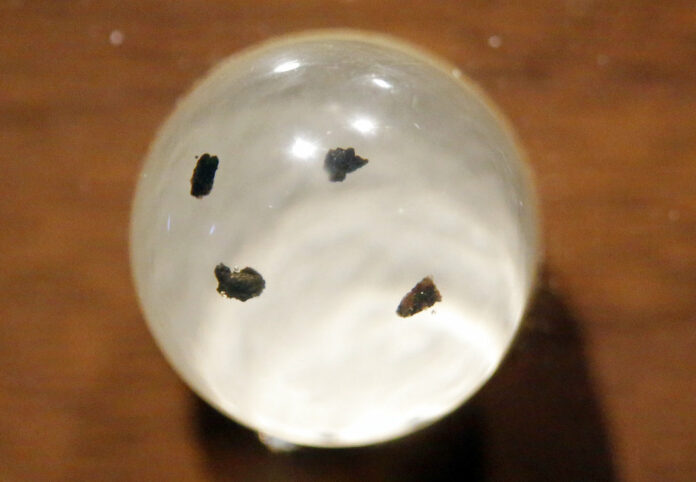 Moon rocks encased in acrylic and mounted on a wooden plaque Wednesday at the Clark Planetarium in Salt Lake City, Utah. Photo: Rick Bowmer / Associated Press