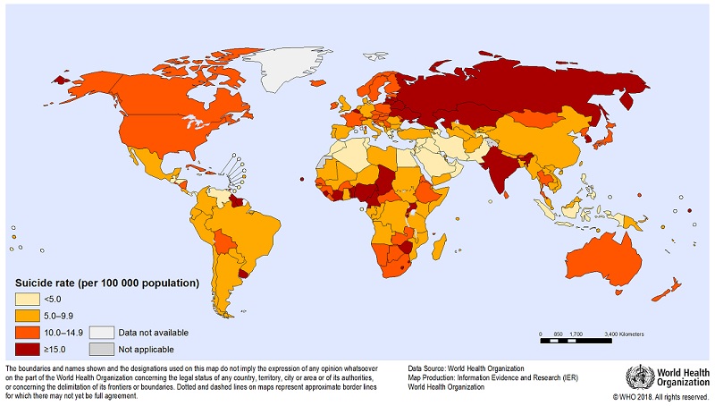 Age-standardized suicide rates per 100,000 people in 2016. Graphic: World Health Organization