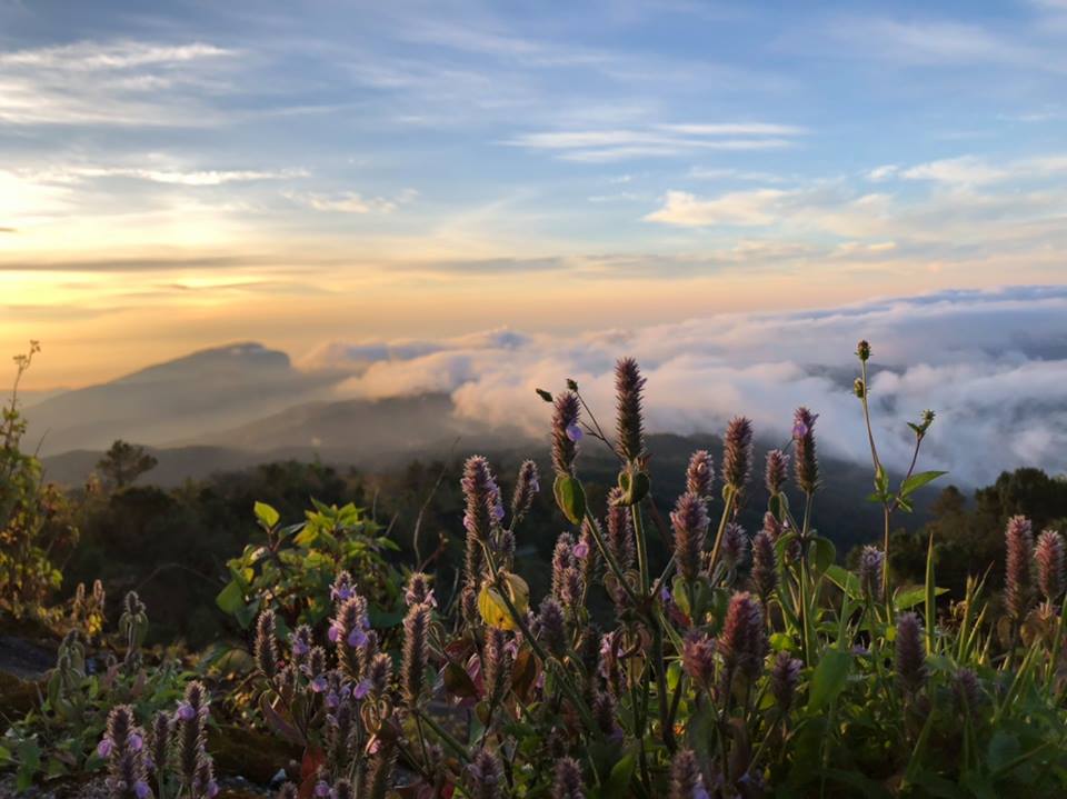 Doi Inthanon, Chiang Mai.