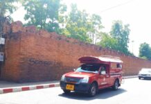 Farangs Face Hard Time For Chiang Mai Vandalism