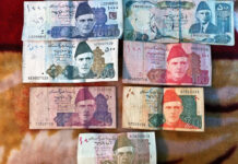 Pakistani Rupee Plunges 7% as Country Seeks IMF, China Loans Photo: Peretz Partensky / Flickr