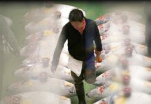 New Tokyo Fish Market Starts Traditionally with Tuna Auction