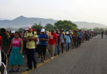 Mexico Torn Between Stopping, Aiding Migrant Caravan Migrants walk Saturday along the road after Mexico's federal police briefly blocked the highway in an attempt to stop a thousands-strong caravan of Central American migrants from advancing, outside the town of Arriaga, Mexico. Photo: Rebecca Blackwell / Associated Press
