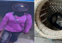 Police: Fish-Trap Robber Arrested in Udon Thani