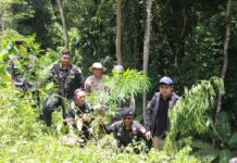 Justice Minister Wants Medical Weed Legal Next Month