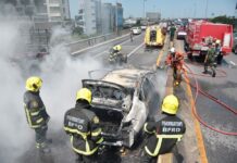 Mahidol Prof Dies After Being Pulled From Flaming Wreck
