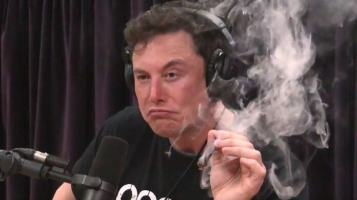 A file photo of Tesla CEO Elon Musk in his high time. Image: The Joe Rogan Experience / YouTube.