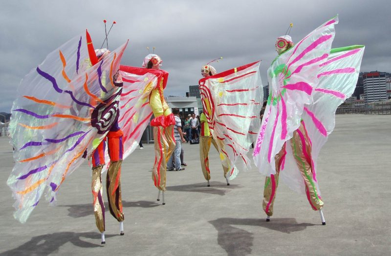 12 Stilt Walker butterfly e1541567562598