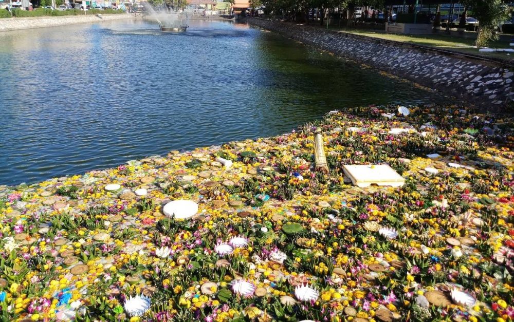 A large amount of krathongs piled up in the moat in Korat.