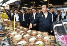 Legal Scrutiny Over Prayuth’s 86 Billion Baht Handouts Junta leader Prayuth Chan-Ocha points at mackerel Thursday in Bangkok's Minburi Market.