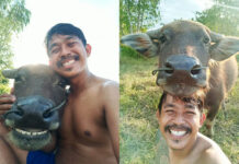 Chai Nat Man’s Lovely Kwai Friendship Warms Hearts