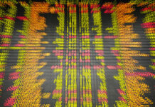 Asia Shares Mixed Ahead of Trump-Xi Meeting at G-20 Summit An electronic board displays stock prices Friday at a private stock market gallery in Kuala Lumpur, Malaysia. Photo: Yam G-Jun / Associated Press