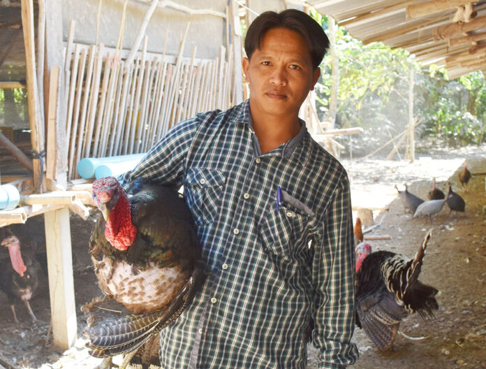 Kanisorn Mongkorn holds one of his turkeys.