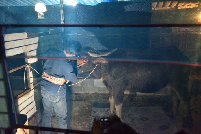 Surat Phaeoket tends to Tongkum Thursday night at Khan Na Yao Police Station.