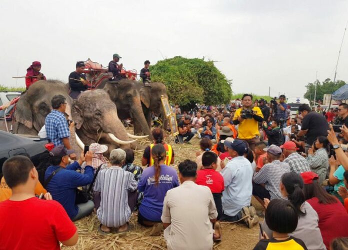 In this Sunday, Dec. 23, 2018, photo released by Suphan Buri City, four mahouts and their elephants attend a prayer session with rescue workers and officials before joining the search operation, in Suphan Buri, Thailand. Photo: Suphan Buri City via Associated Press