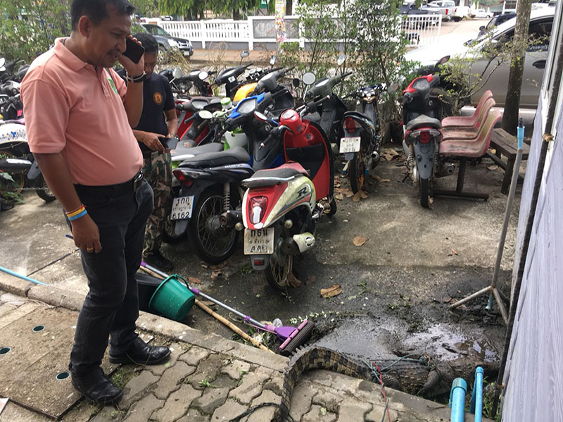 Photo: Police Maj. Witthaya Tongkong / Courtesy