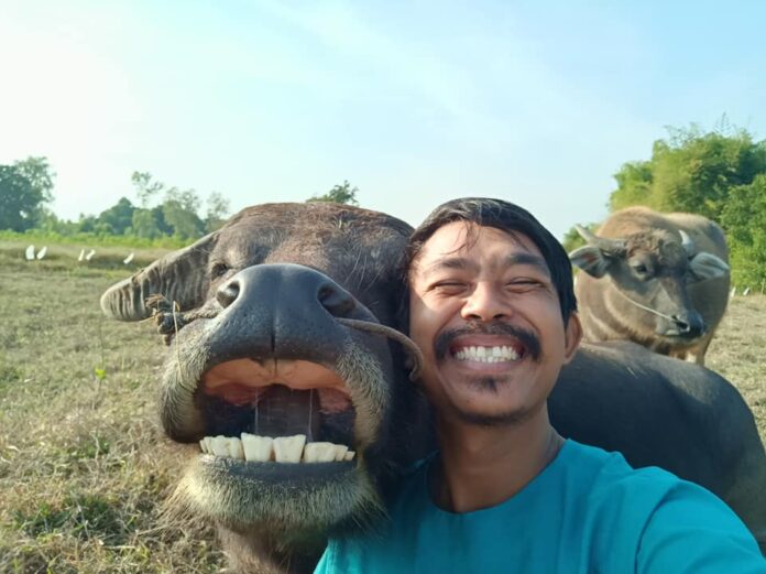 Surat Phaeoket and Tongkum are smiling together again Sunday after being reunited in Chai Nat province. Photo: Smiling Buffalo, A Little Thing Called Happiness. Surat Phaeoket & Tongkum / Facebook