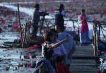 Pink Lotus Swamp Packs in Visitors in Bueng Kan