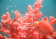 Sea Reefs and Sunsets: Living Coral Is Color of the Year