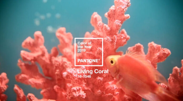 pantone