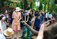 New Campaign Launched as Chinese Tourists ‘Drop by 90%’