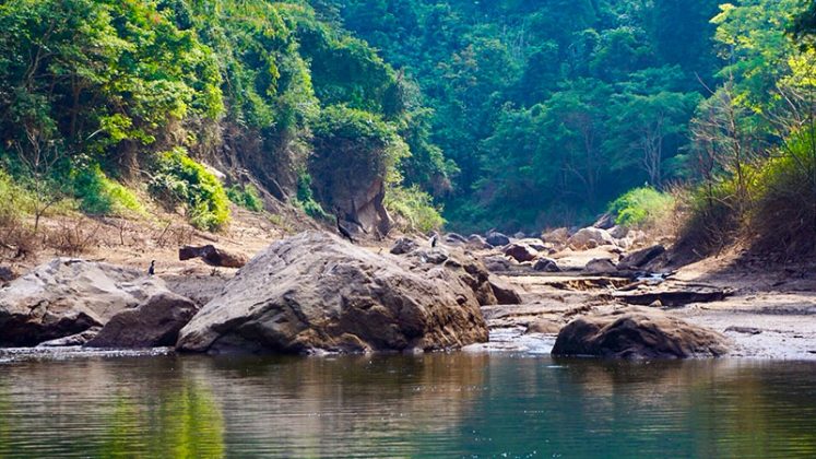 The headwaters of the Khun Dan Prakarn Chon Dam reservoir.